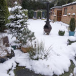 Winterharte Pflanzkübel