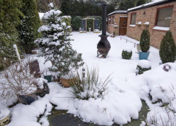 Winterharte Pflanzkübel