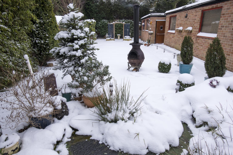 Winterharte Pflanzkübel