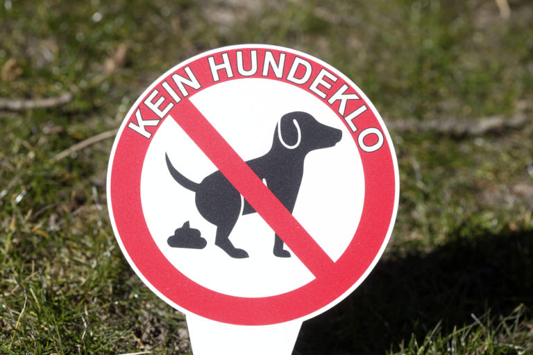 Hunde aus dem Vorgarten fernhalten