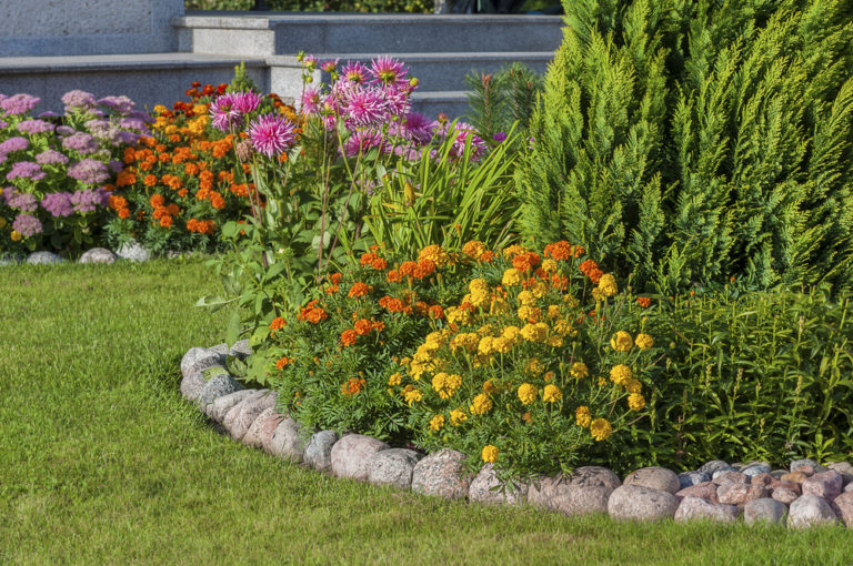 Tipps für einen gepflegten Garten