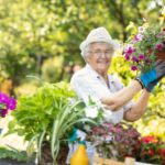 Seniorin bepflanzt eine Blumenampel