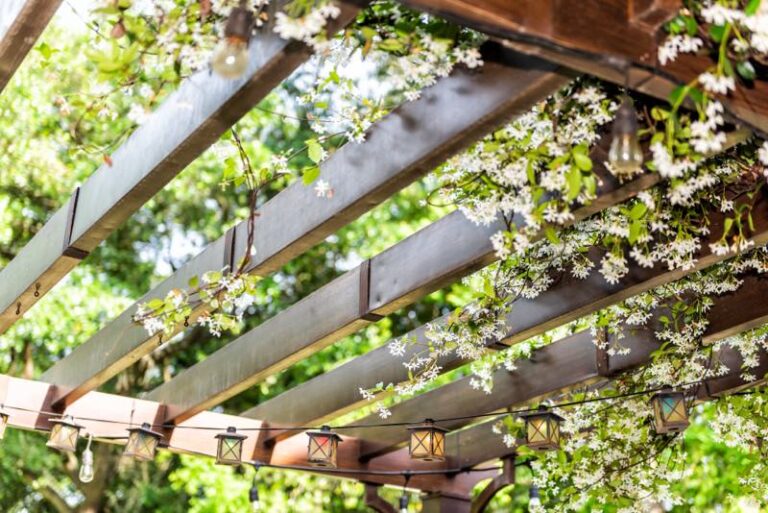 große Pergola mit Ranken