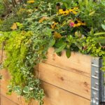 Blumen im Hochbeet